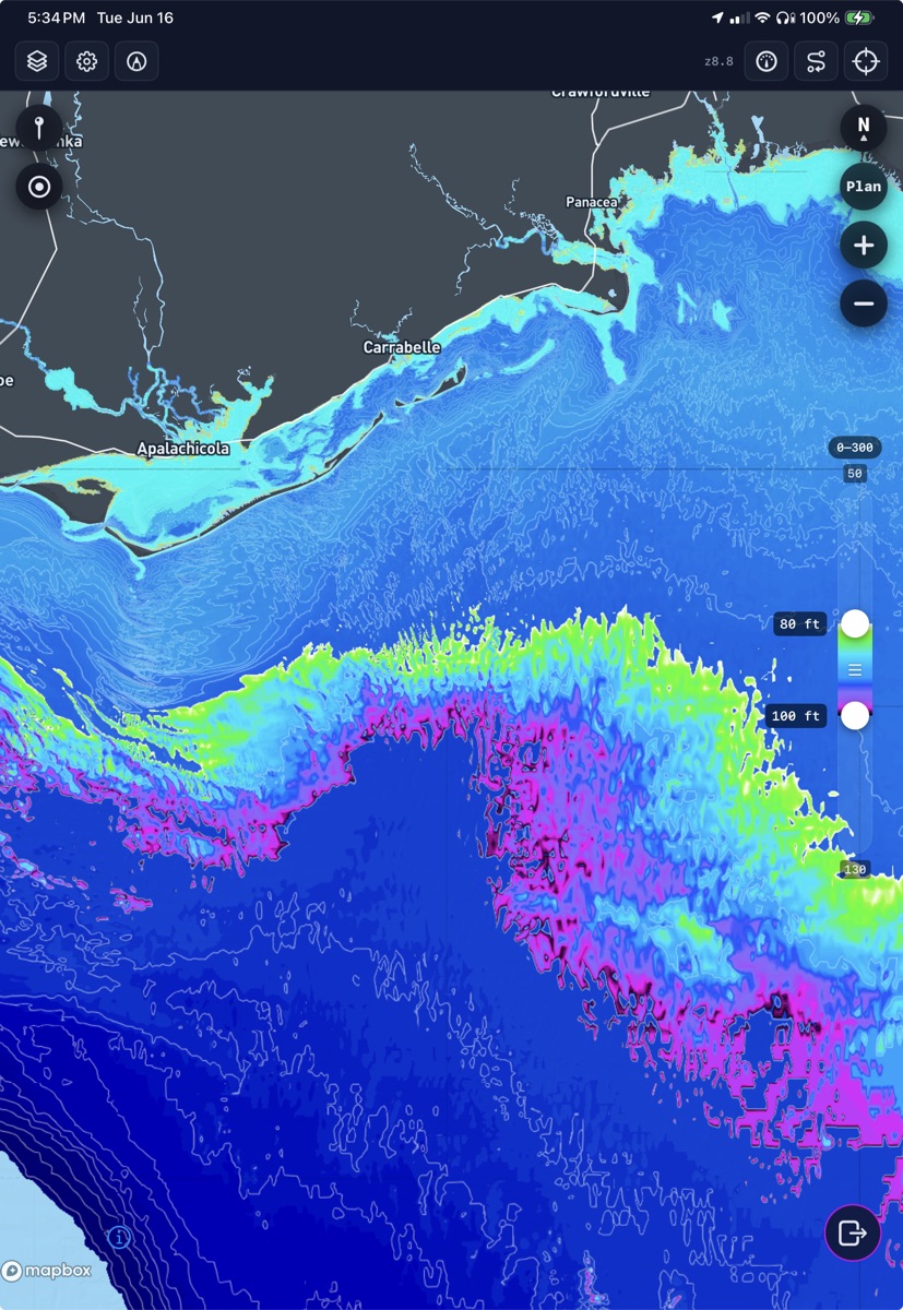 Florida Big Bend off Apalachicola under depth band 80 to 100 feet
